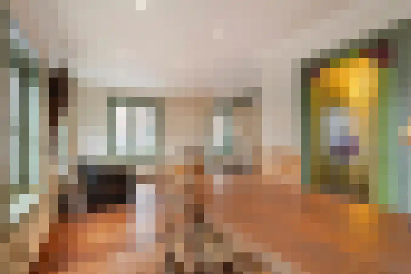 Lindenstraat 14 Deventer thumbnail 24
