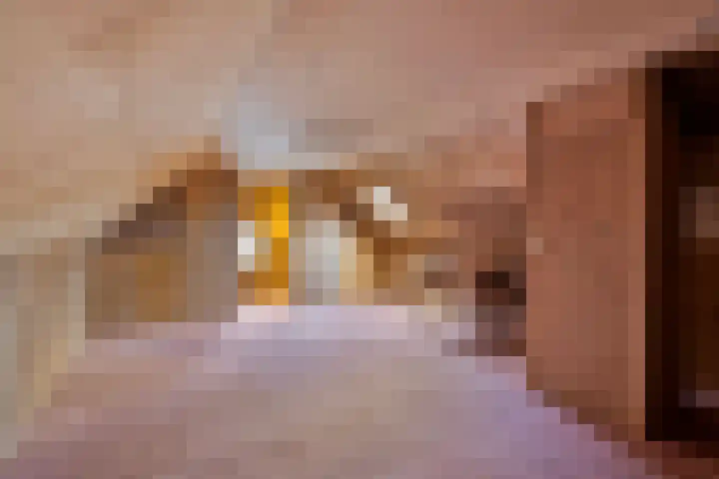 Lindenstraat 14 Deventer thumbnail 37