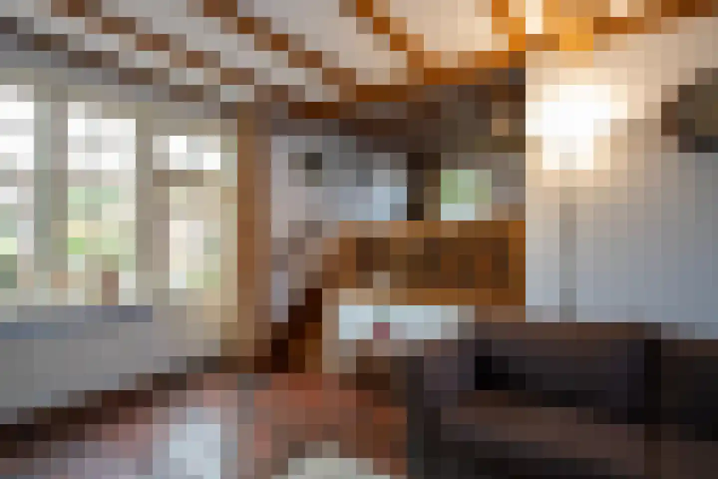 Lindenstraat 14 Hapert thumbnail 10