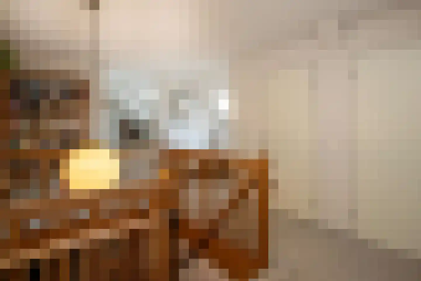 Lindenstraat 14 Hapert thumbnail 20