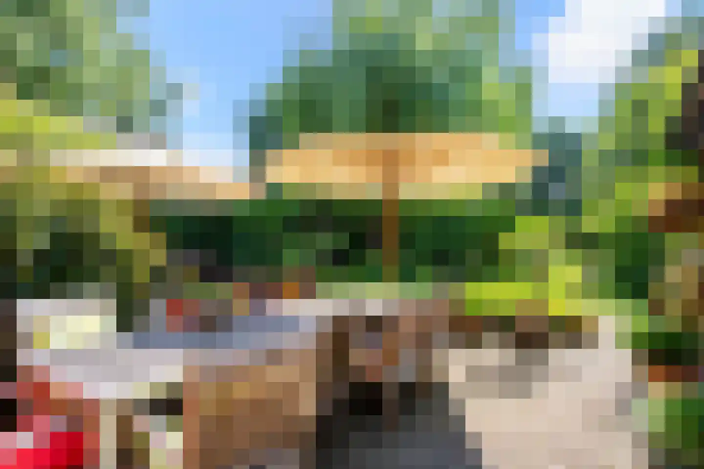 Lindenstraat 14 Hapert thumbnail 29