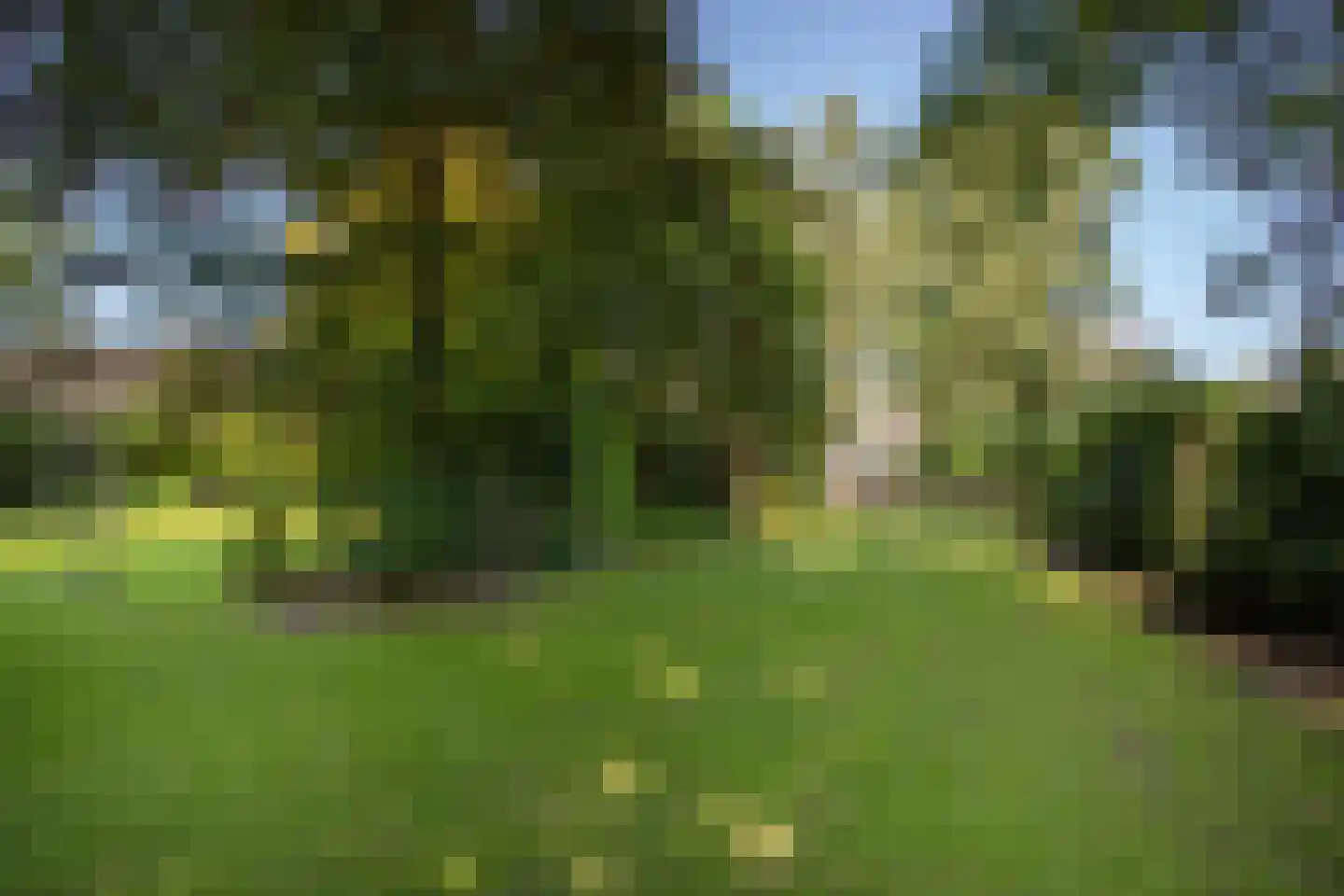 Lindenstraat 14 Hapert thumbnail 32