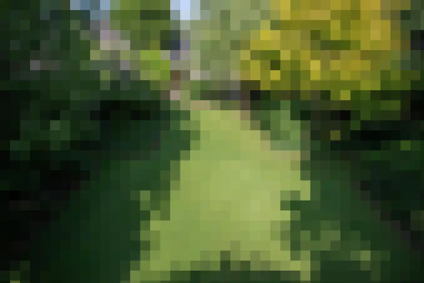 Lindenstraat 14 Hapert thumbnail 34