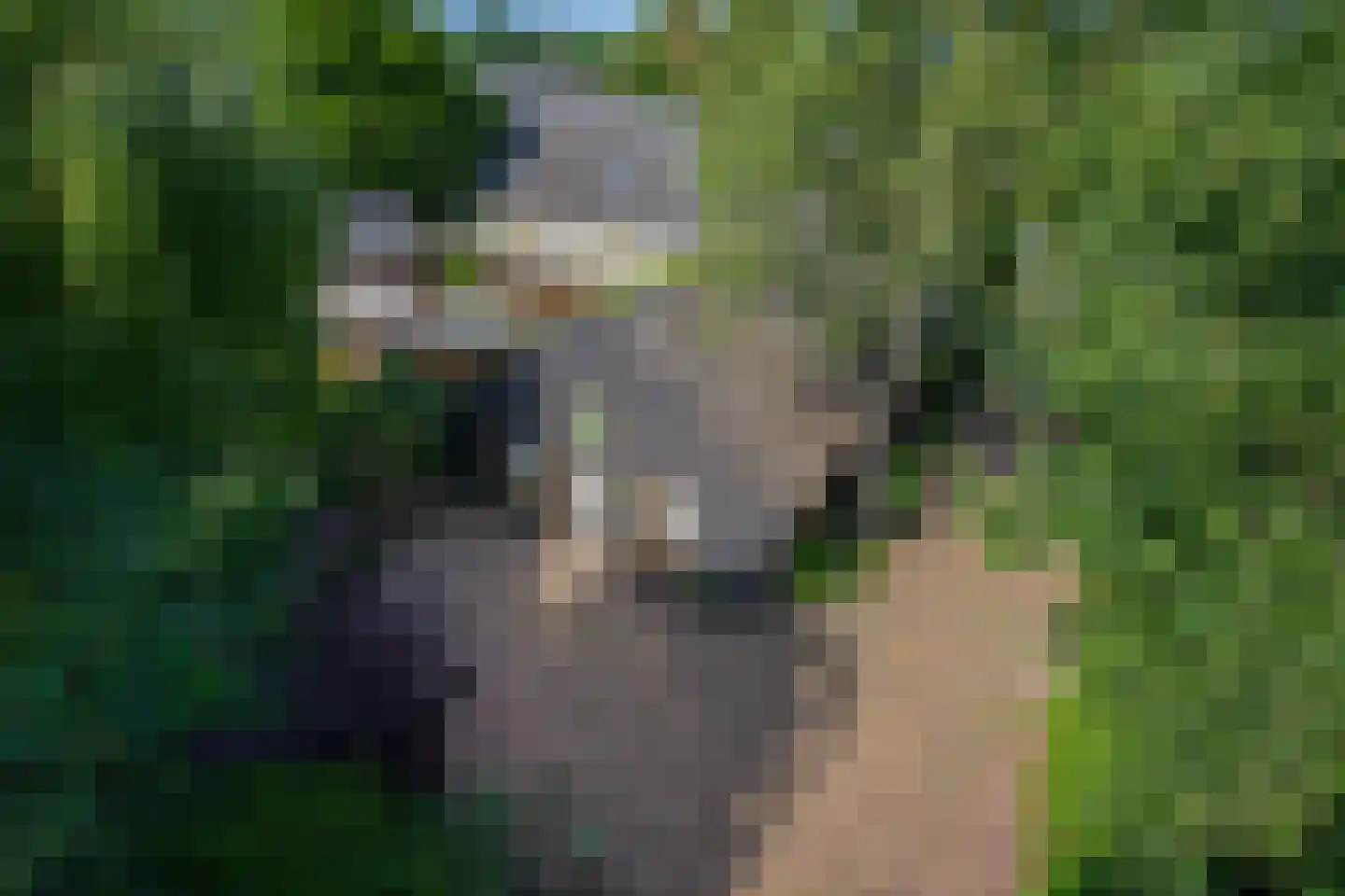 Lindenstraat 14 Hapert thumbnail 37
