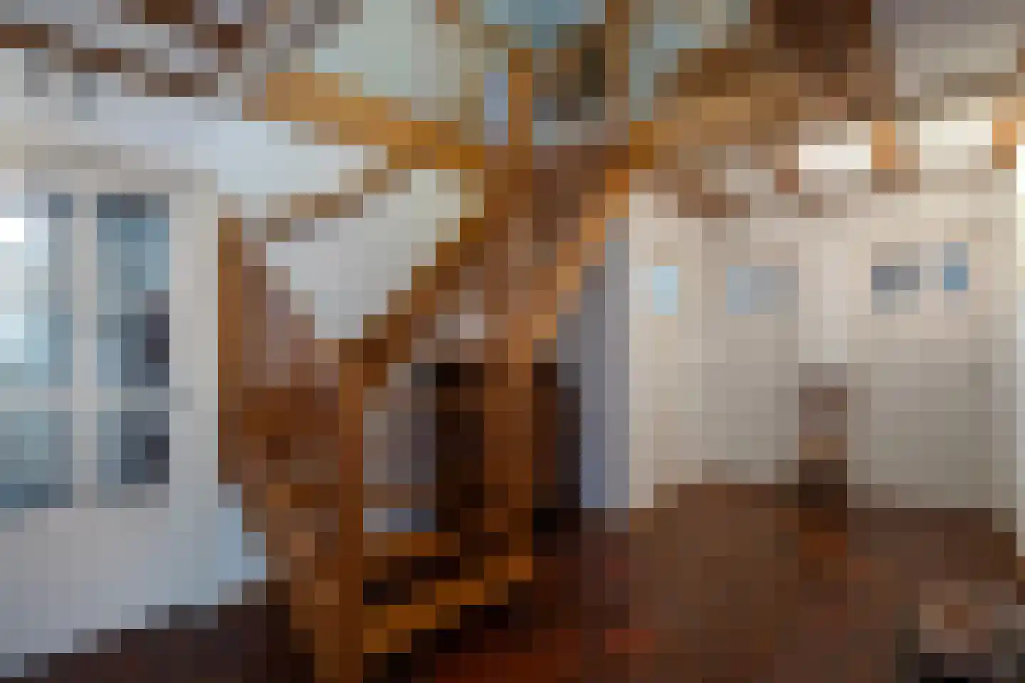 Lindenstraat 14 Hapert thumbnail 6