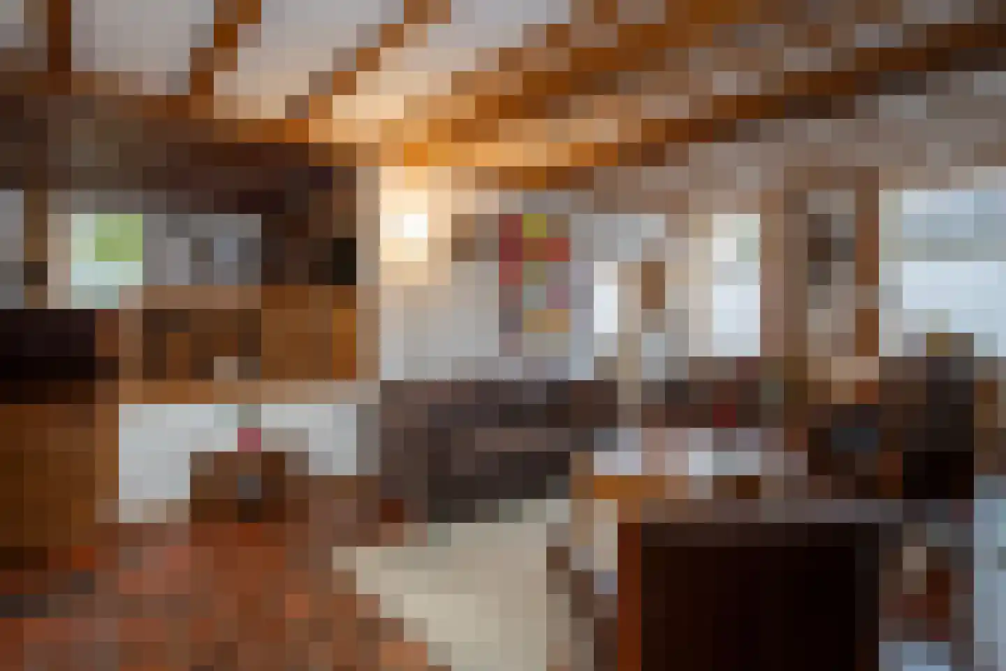 Lindenstraat 14 Hapert thumbnail 9