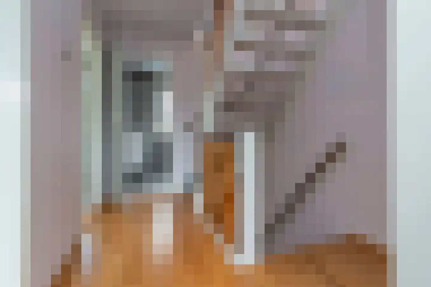 Lindenstraat 14 's-Gravenzande thumbnail 15