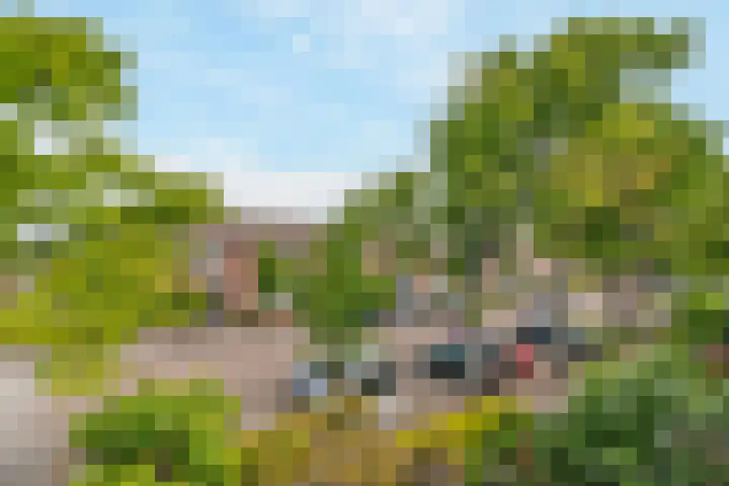 Lindenstraat 14 's-Gravenzande thumbnail 20