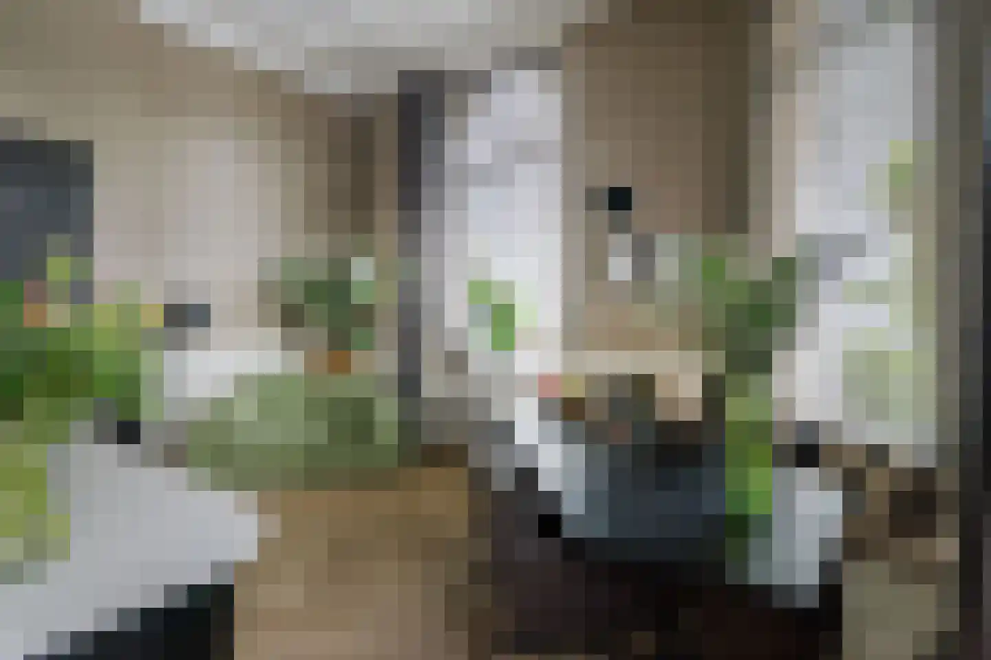 Lindenstraat 18 Deventer thumbnail 11
