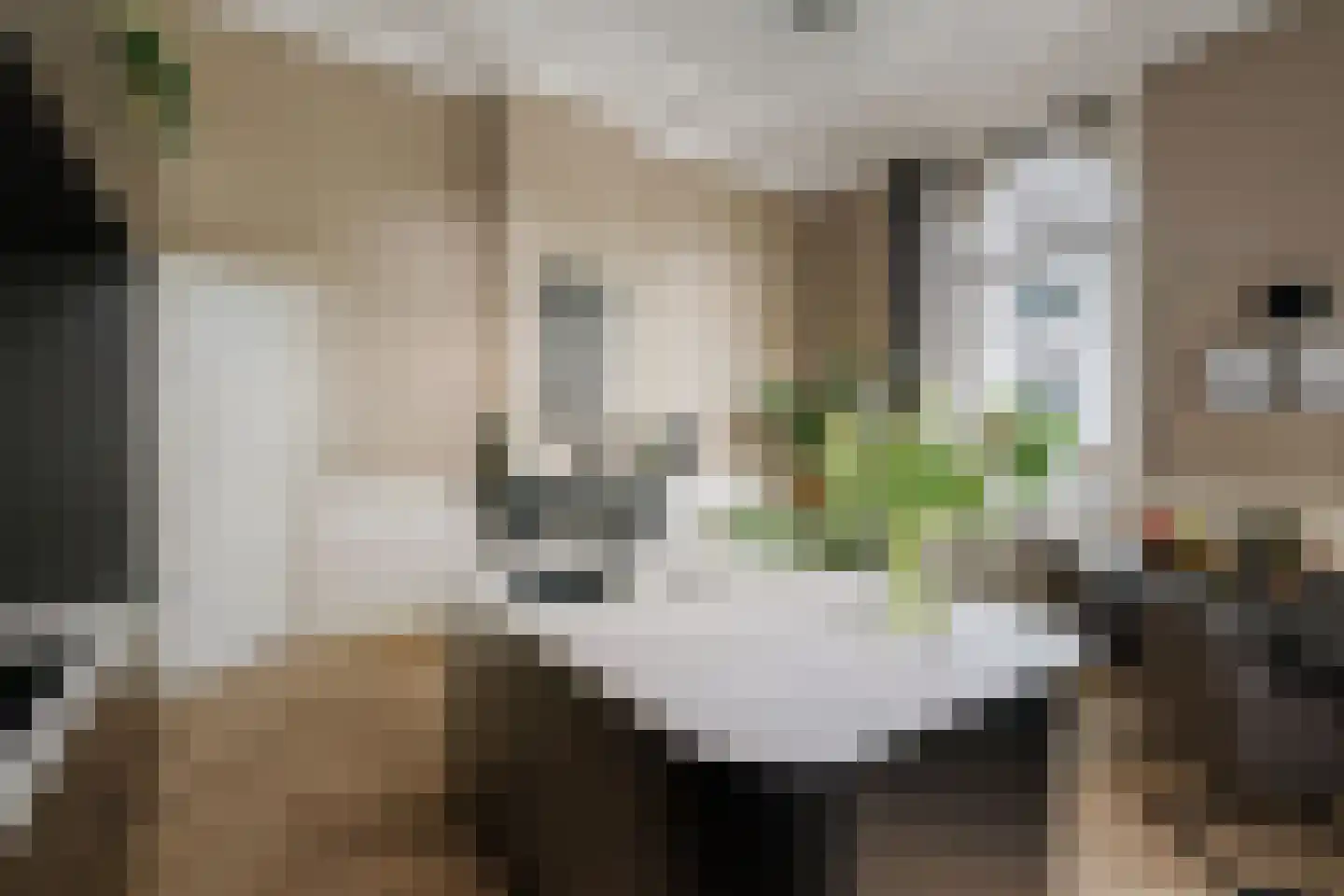 Lindenstraat 18 Deventer thumbnail 12