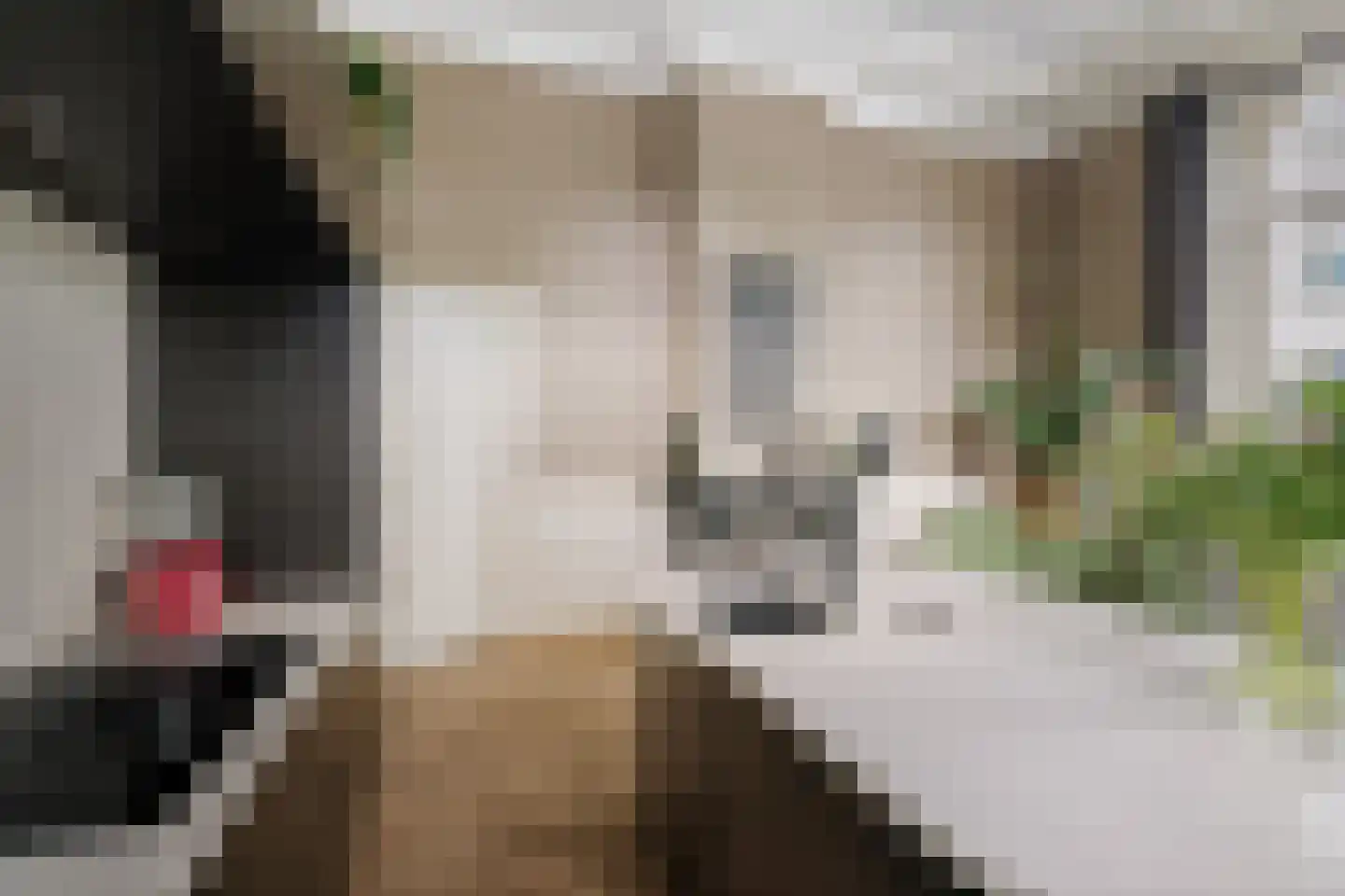 Lindenstraat 18 Deventer thumbnail 13