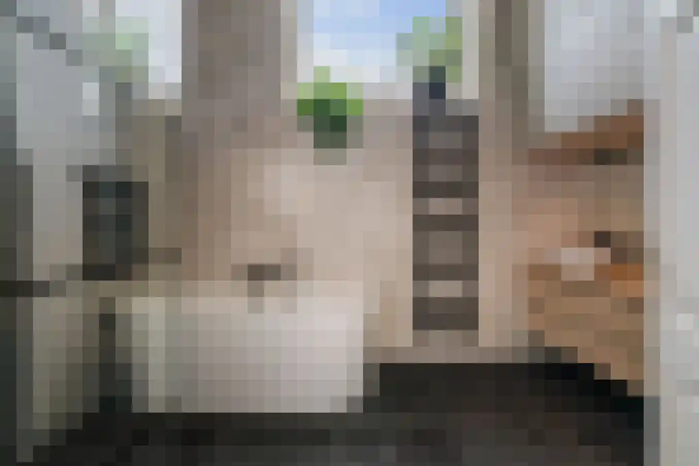Lindenstraat 18 Deventer thumbnail 18