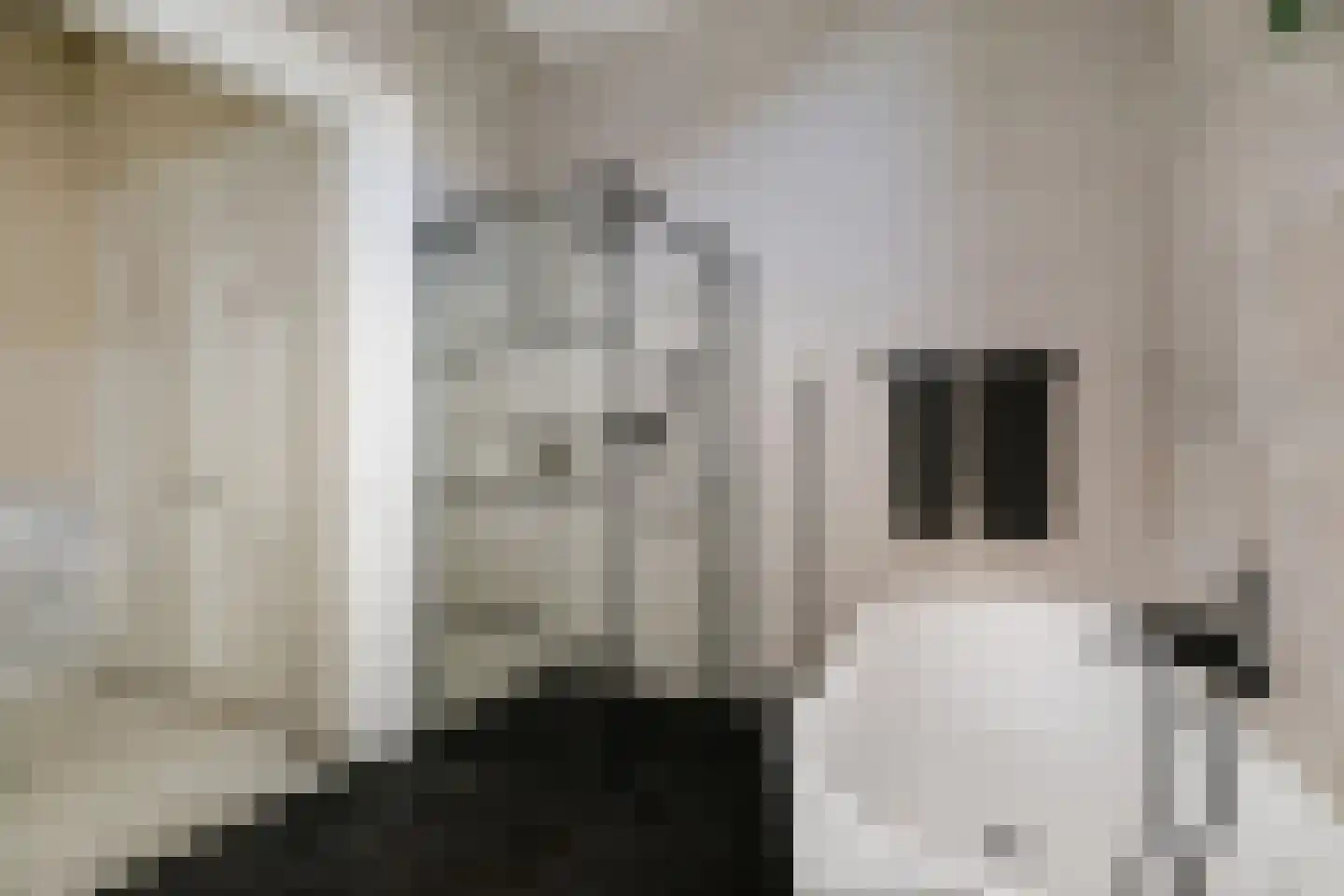 Lindenstraat 18 Deventer thumbnail 20