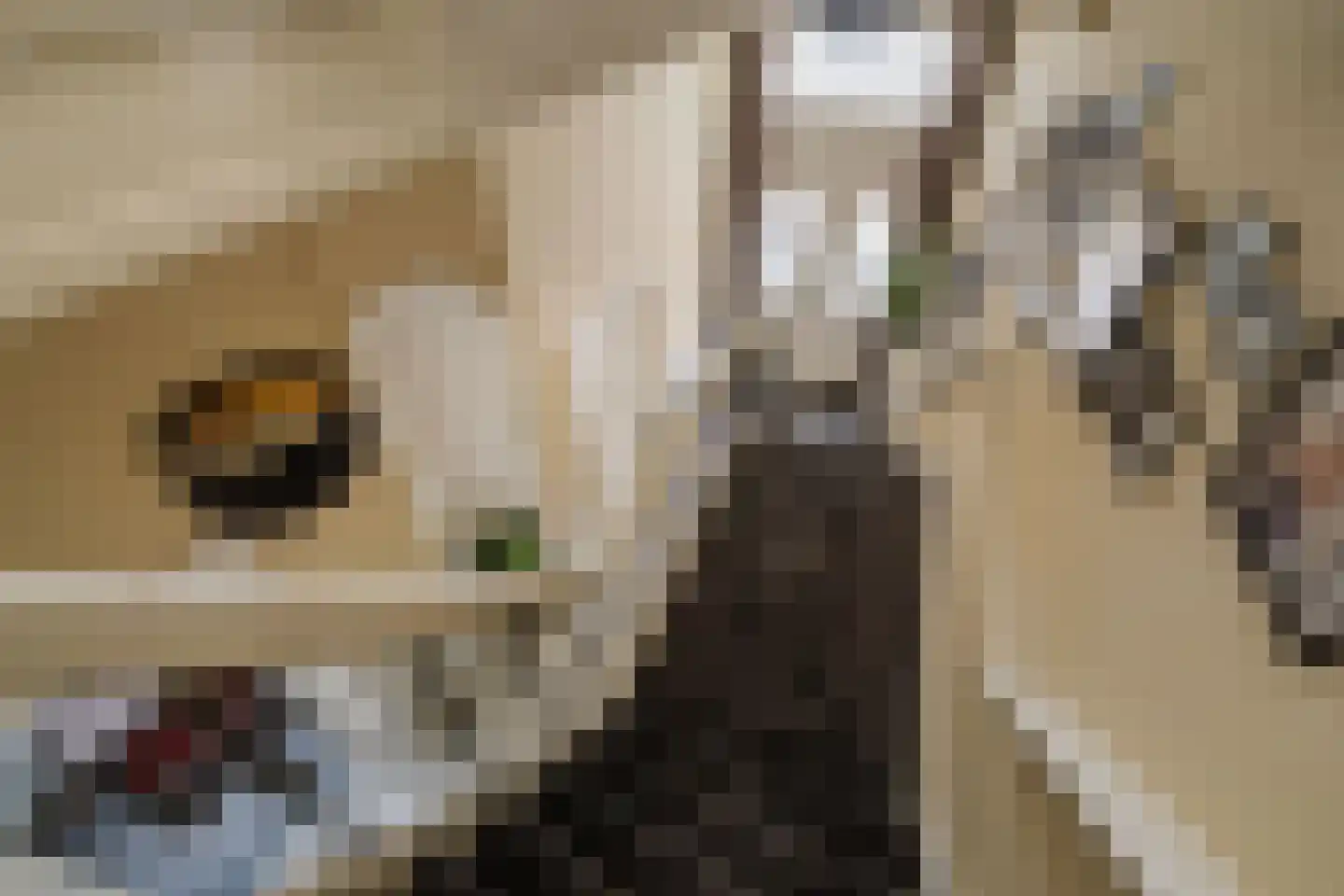 Lindenstraat 18 Deventer thumbnail 22