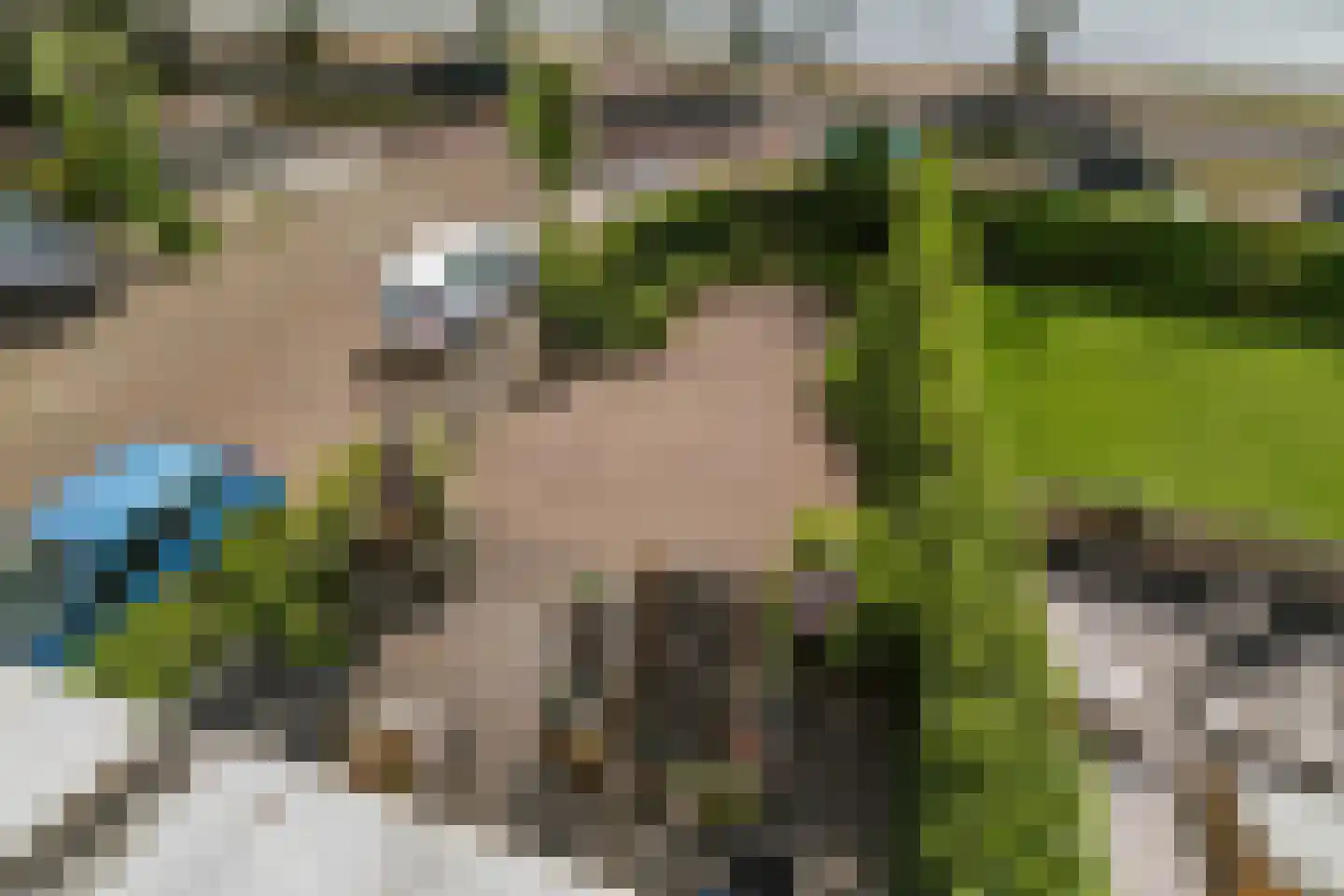 Lindenstraat 18 Deventer thumbnail 25