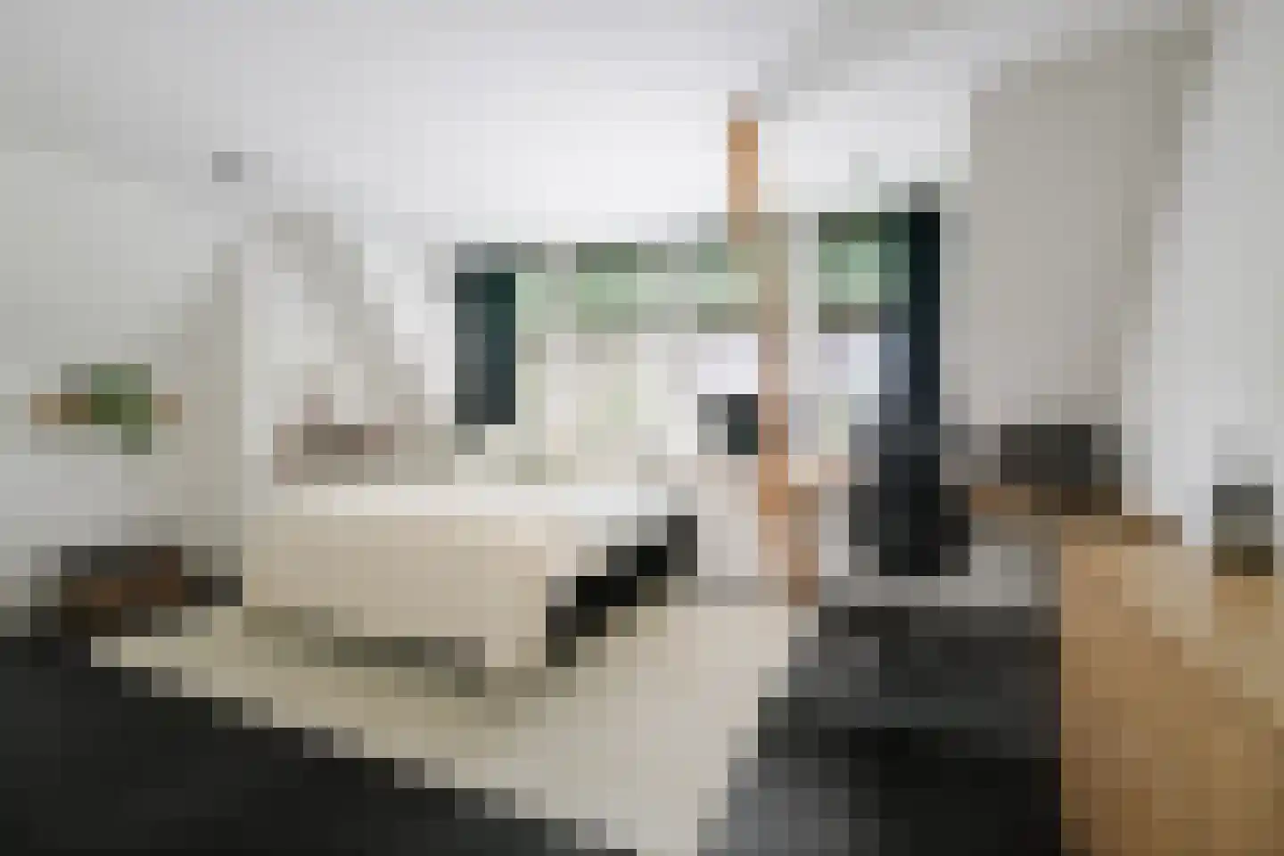 Lindenstraat 18 Deventer thumbnail 40