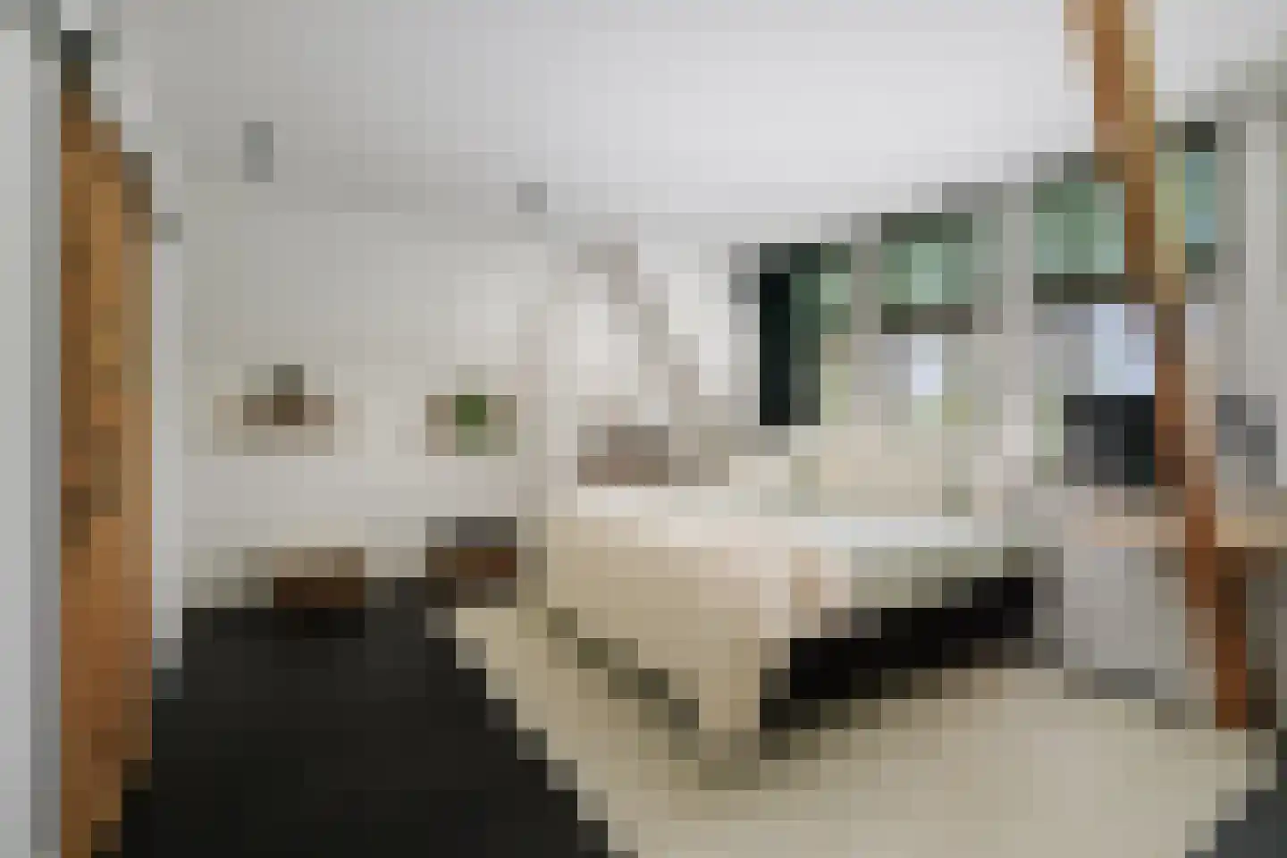 Lindenstraat 18 Deventer thumbnail 41