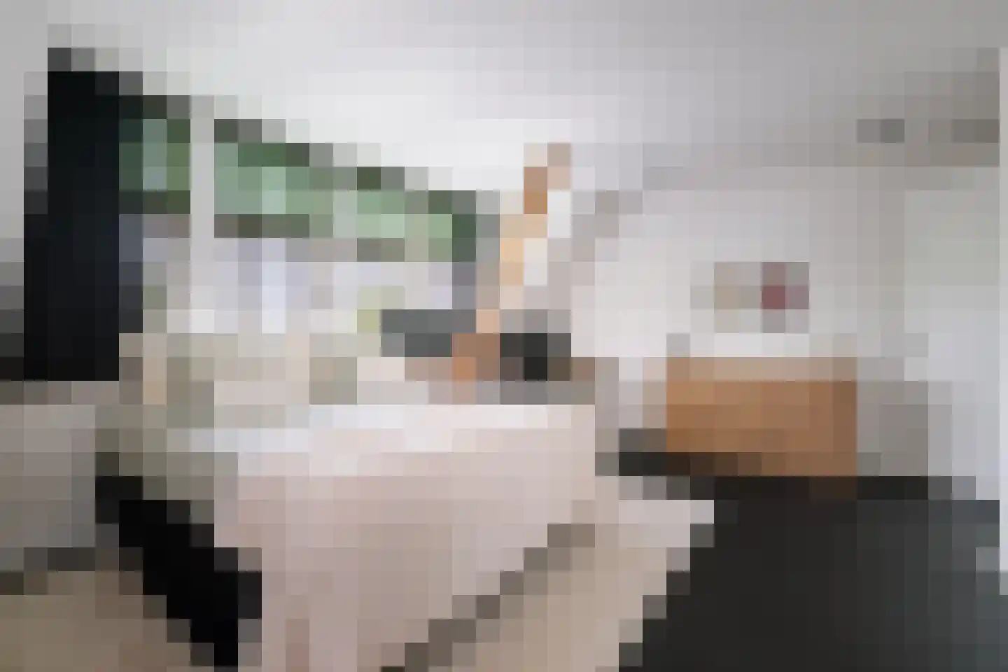 Lindenstraat 18 Deventer thumbnail 42