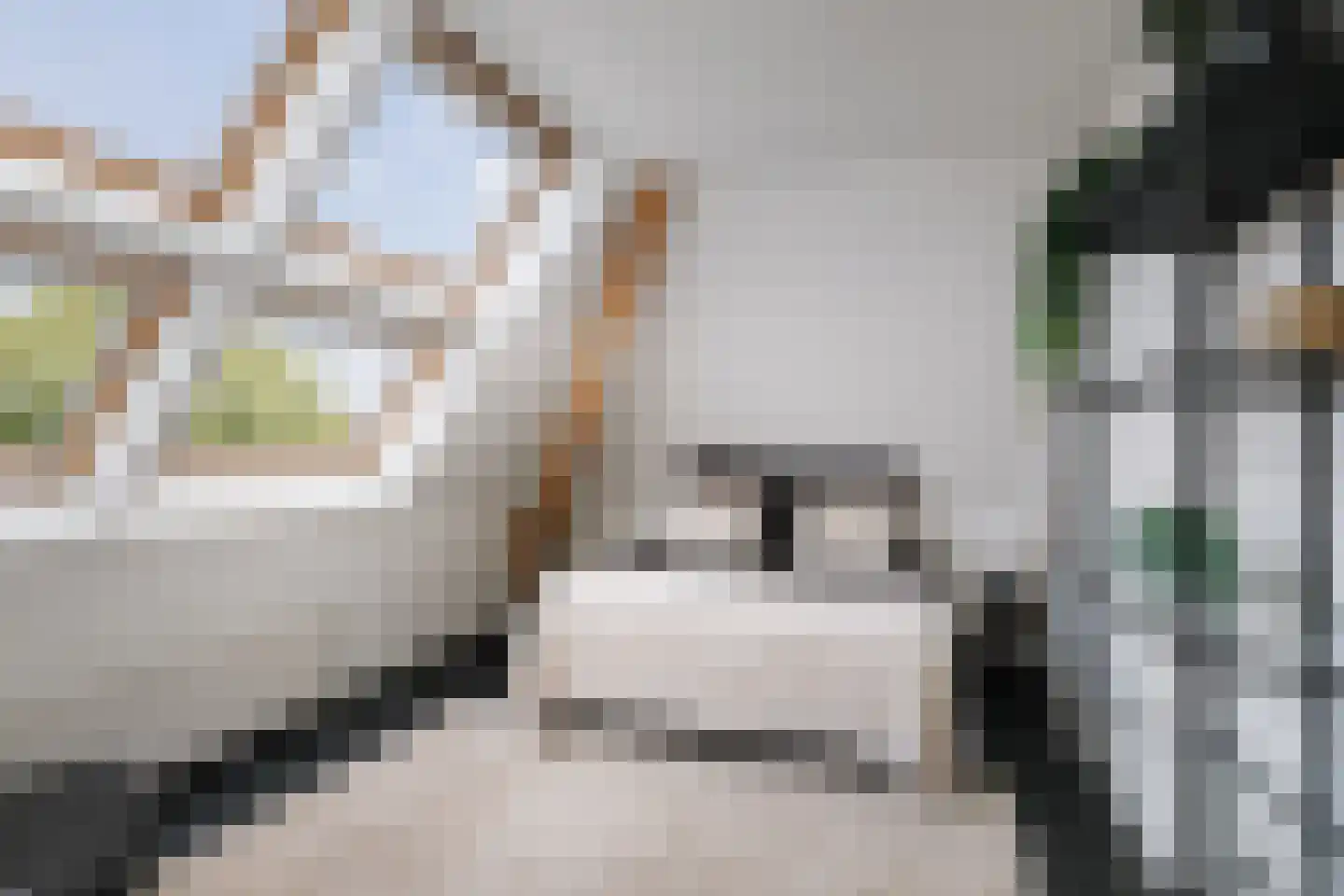 Lindenstraat 18 Deventer thumbnail 44