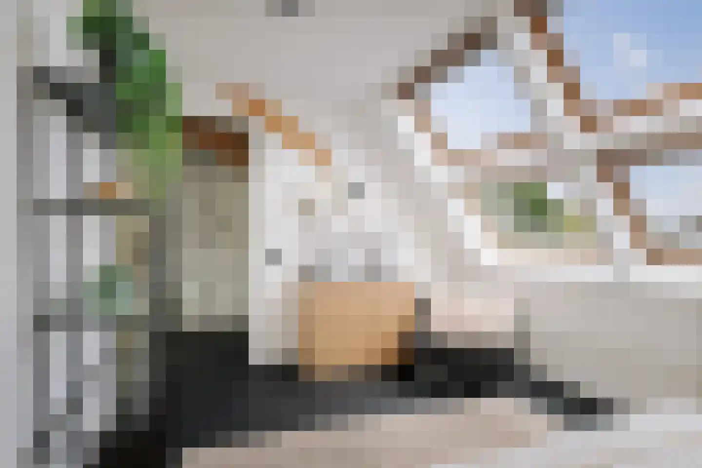 Lindenstraat 18 Deventer thumbnail 45