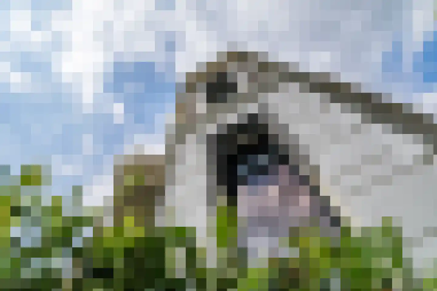 Lindenstraat 18 Deventer thumbnail 52