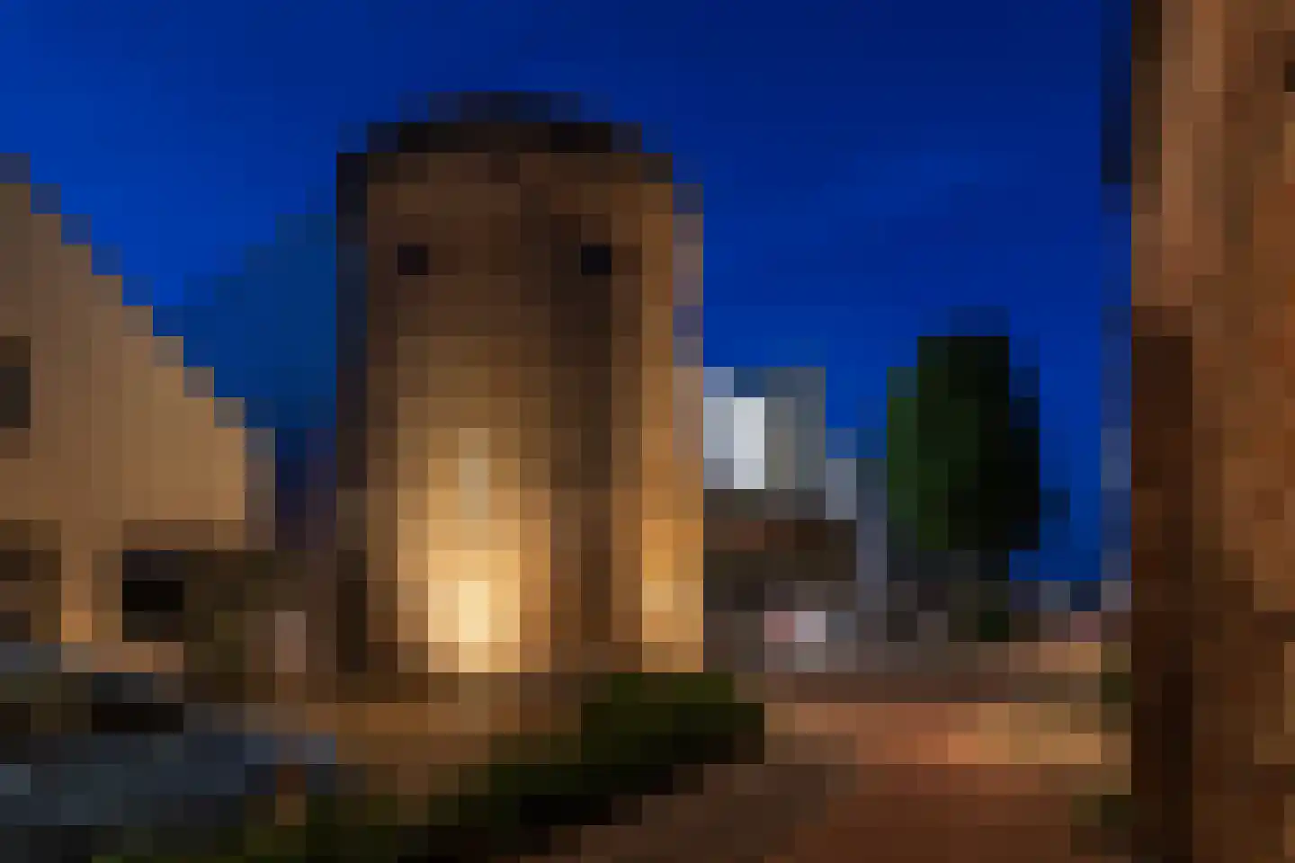 Lindenstraat 18 Deventer thumbnail 61