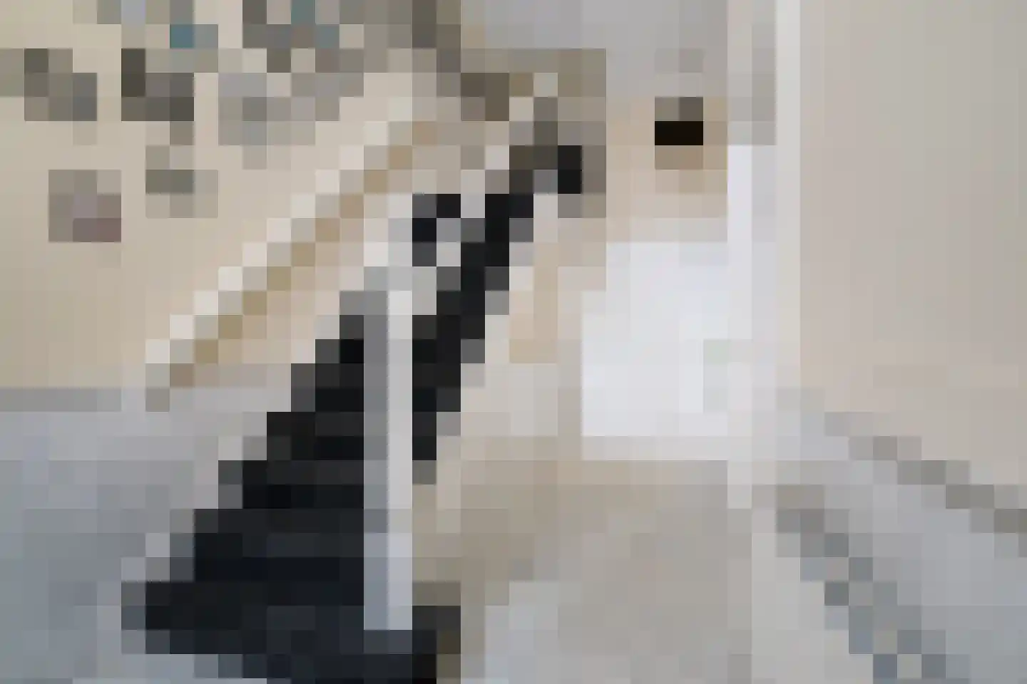 Lindenstraat 18 Deventer thumbnail 9