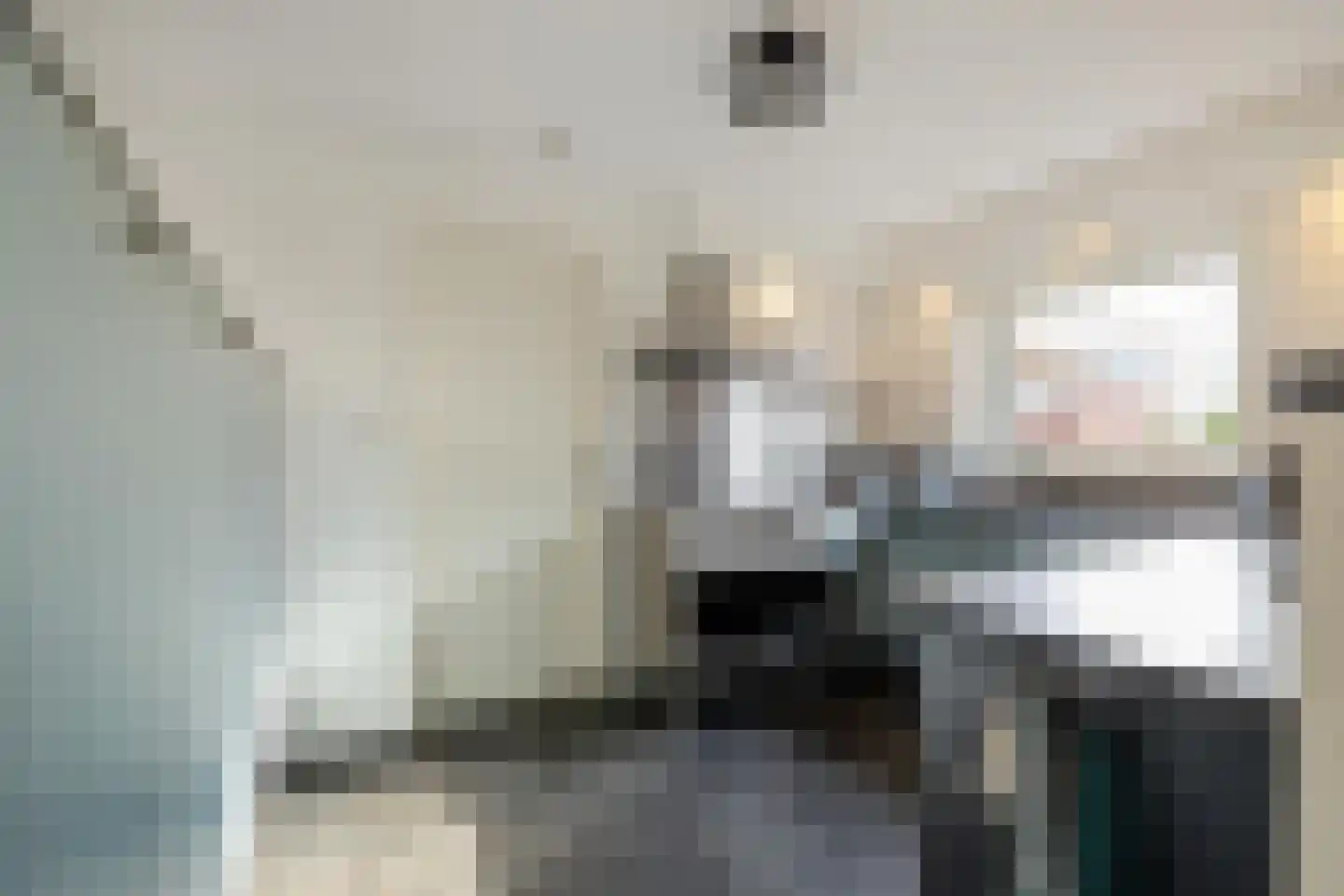 Lindenstraat 19 A Alteveer thumbnail 12