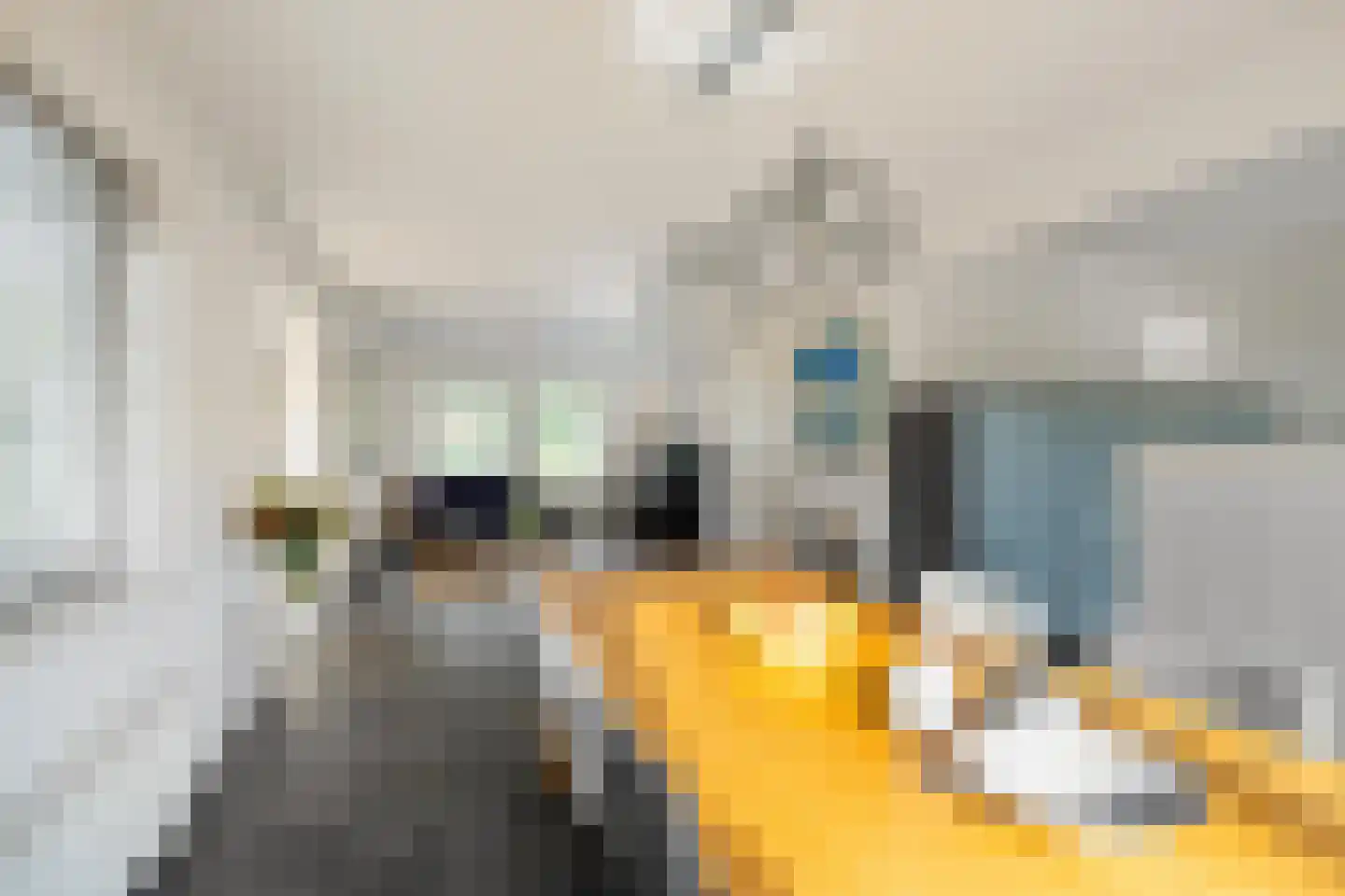 Lindenstraat 19 A Alteveer thumbnail 16