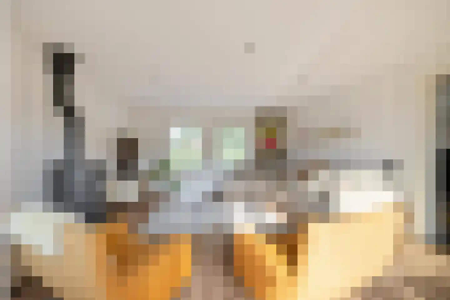 Lindenstraat 19 A Alteveer thumbnail 18