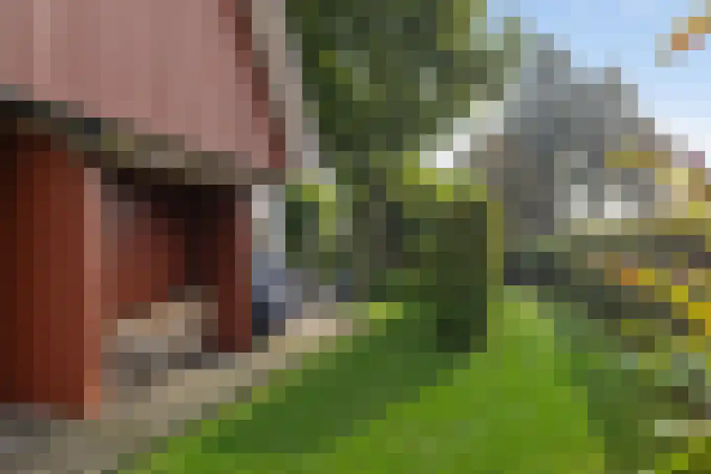 Lindenstraat 19 A Alteveer thumbnail 23