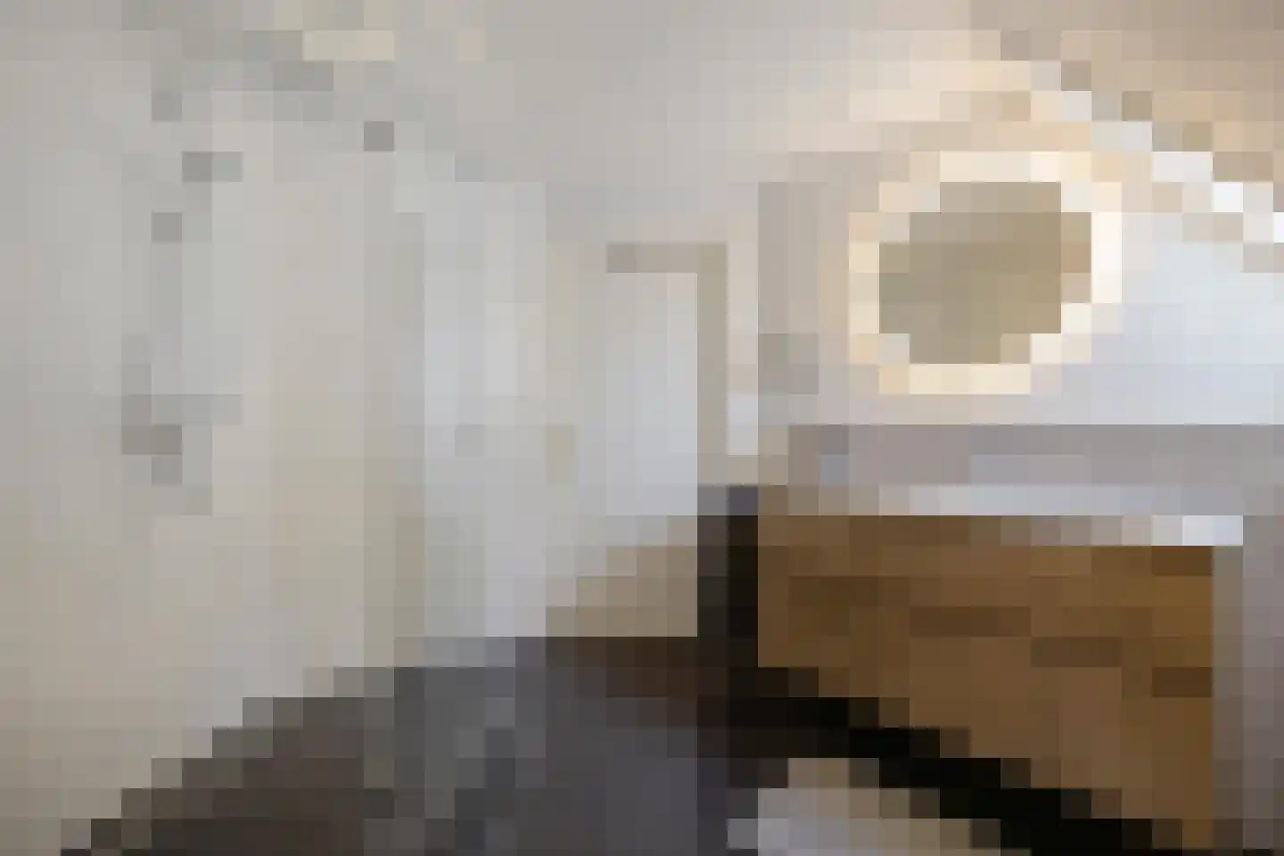 Lindenstraat 19 A Alteveer thumbnail 35