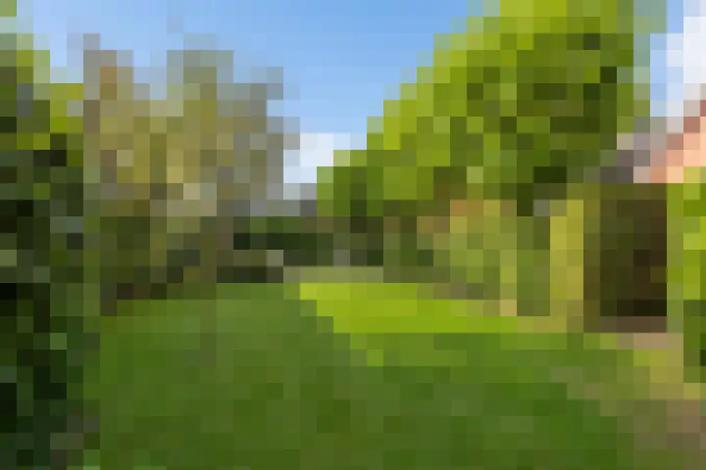 Lindenstraat 19 A Alteveer thumbnail 38