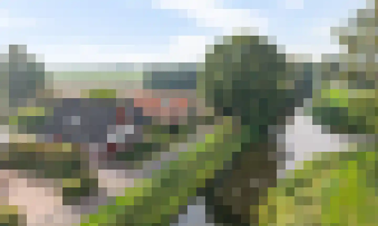 Lindenstraat 19 A Alteveer thumbnail 4