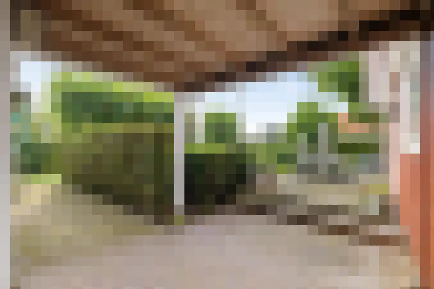 Lindenstraat 19 A Alteveer thumbnail 40