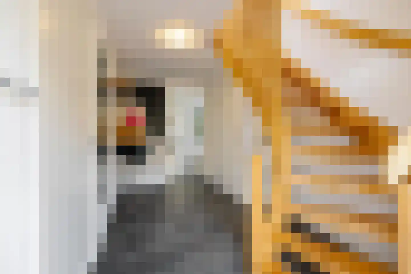Lindenstraat 19 A Alteveer thumbnail 7
