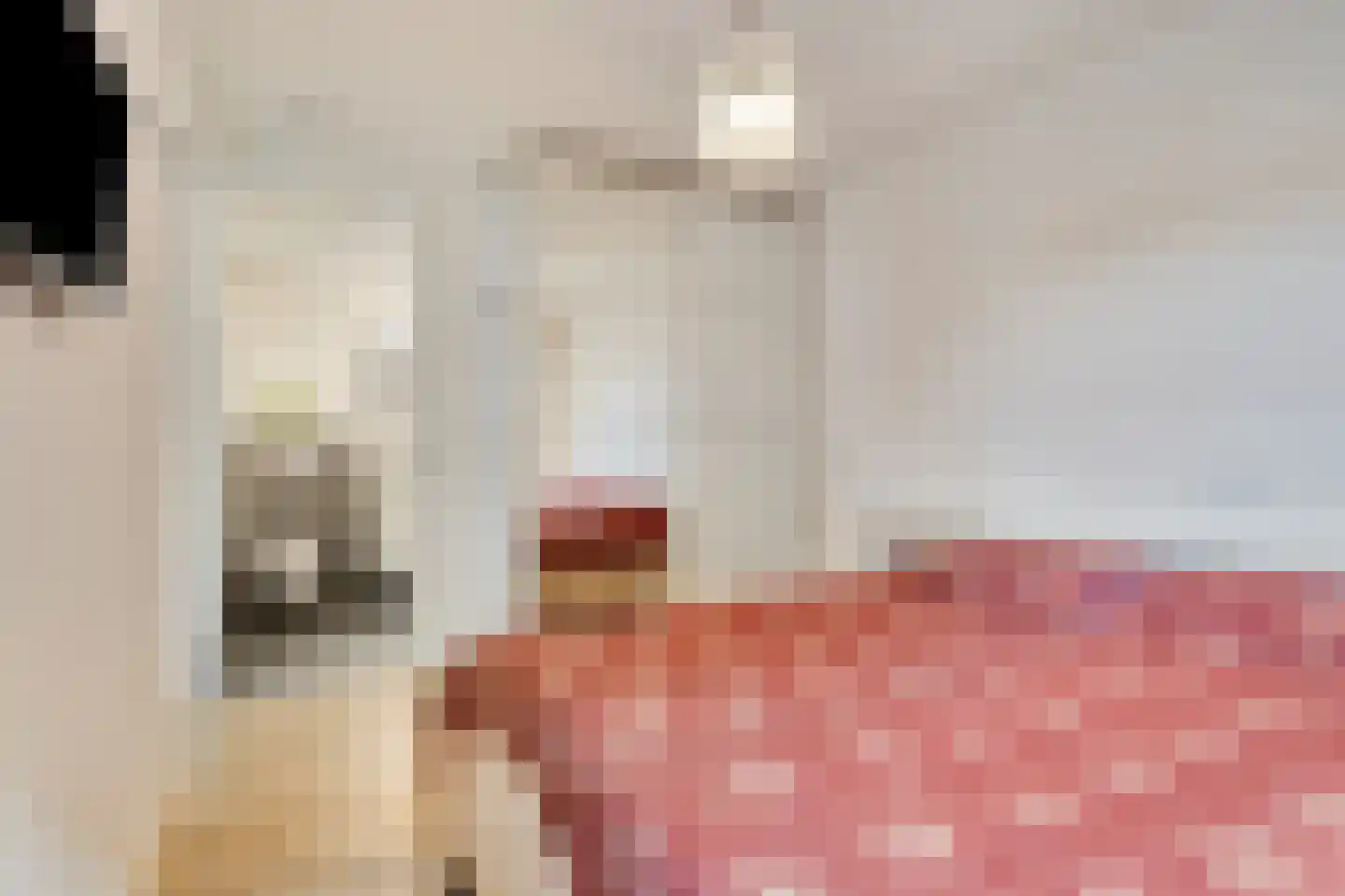 Lindenstraat 2 Bunschoten-Spakenburg thumbnail 17