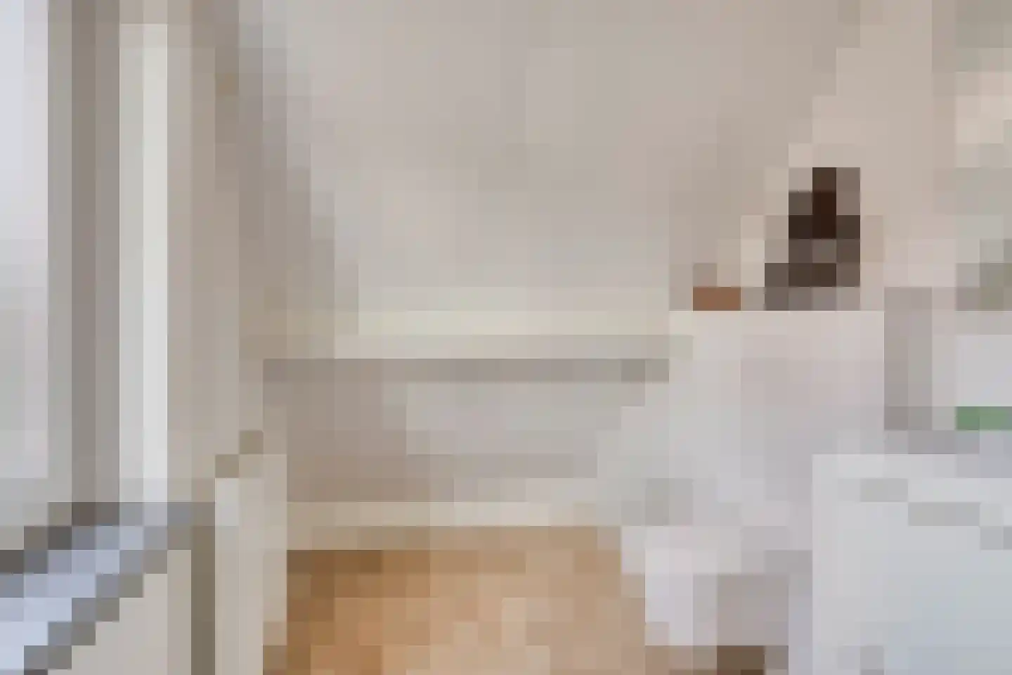 Lindenstraat 2 Bunschoten-Spakenburg thumbnail 24