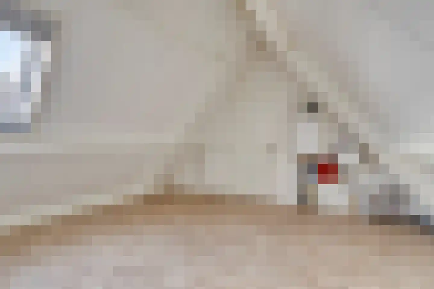 Lindenstraat 2 Bunschoten-Spakenburg thumbnail 28