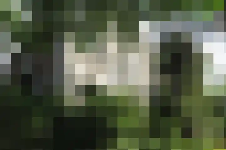 Lindenstraat 2 Wijchen thumbnail 10