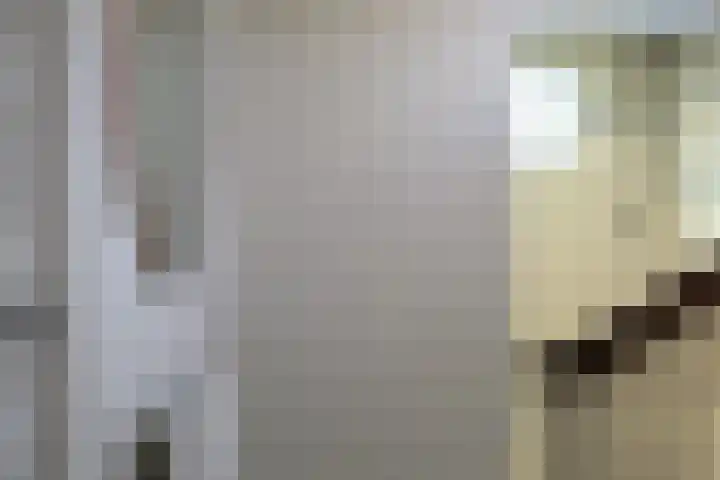 Lindenstraat 2 Wijchen thumbnail 18