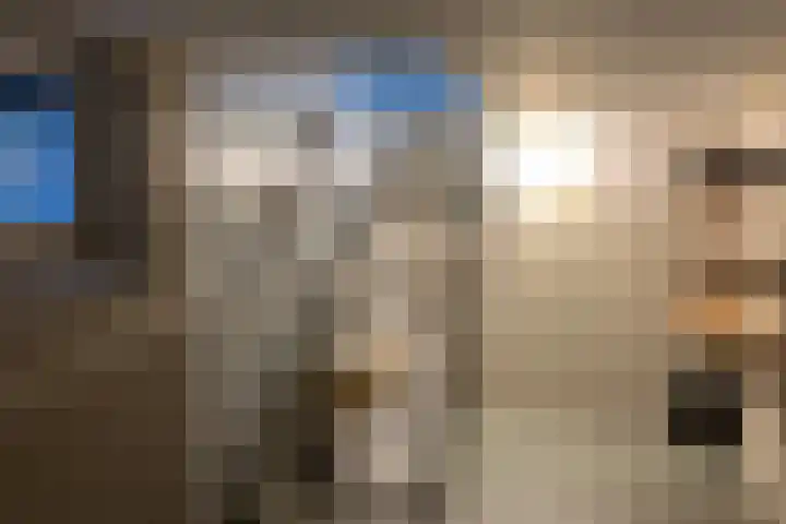 Lindenstraat 2 Wijchen thumbnail 24