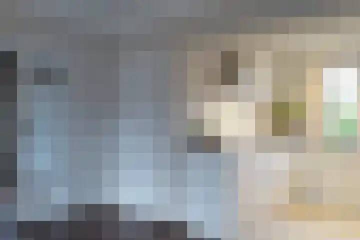Lindenstraat 2 Wijchen thumbnail 39