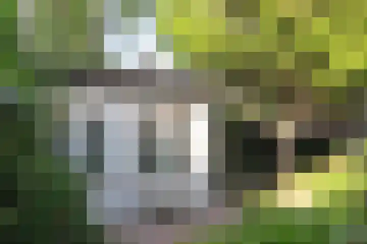 Lindenstraat 2 Wijchen thumbnail 65