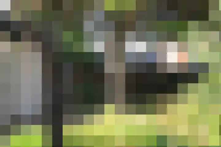 Lindenstraat 2 Wijchen thumbnail 66