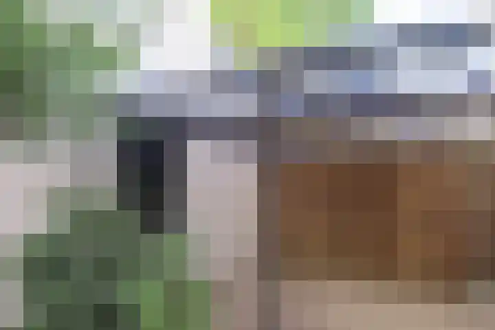 Lindenstraat 2 Wijchen thumbnail 68
