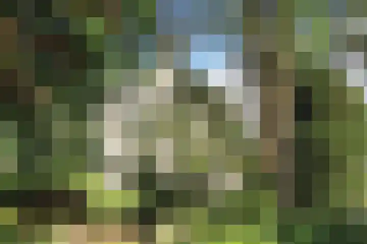 Lindenstraat 2 Wijchen thumbnail 7