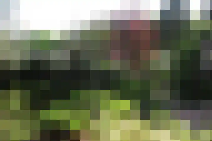Lindenstraat 2 Wijchen thumbnail 70