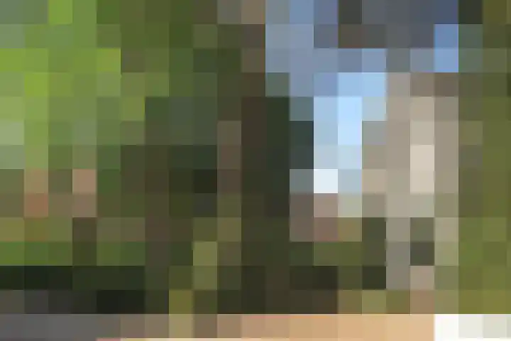 Lindenstraat 2 Wijchen thumbnail 8
