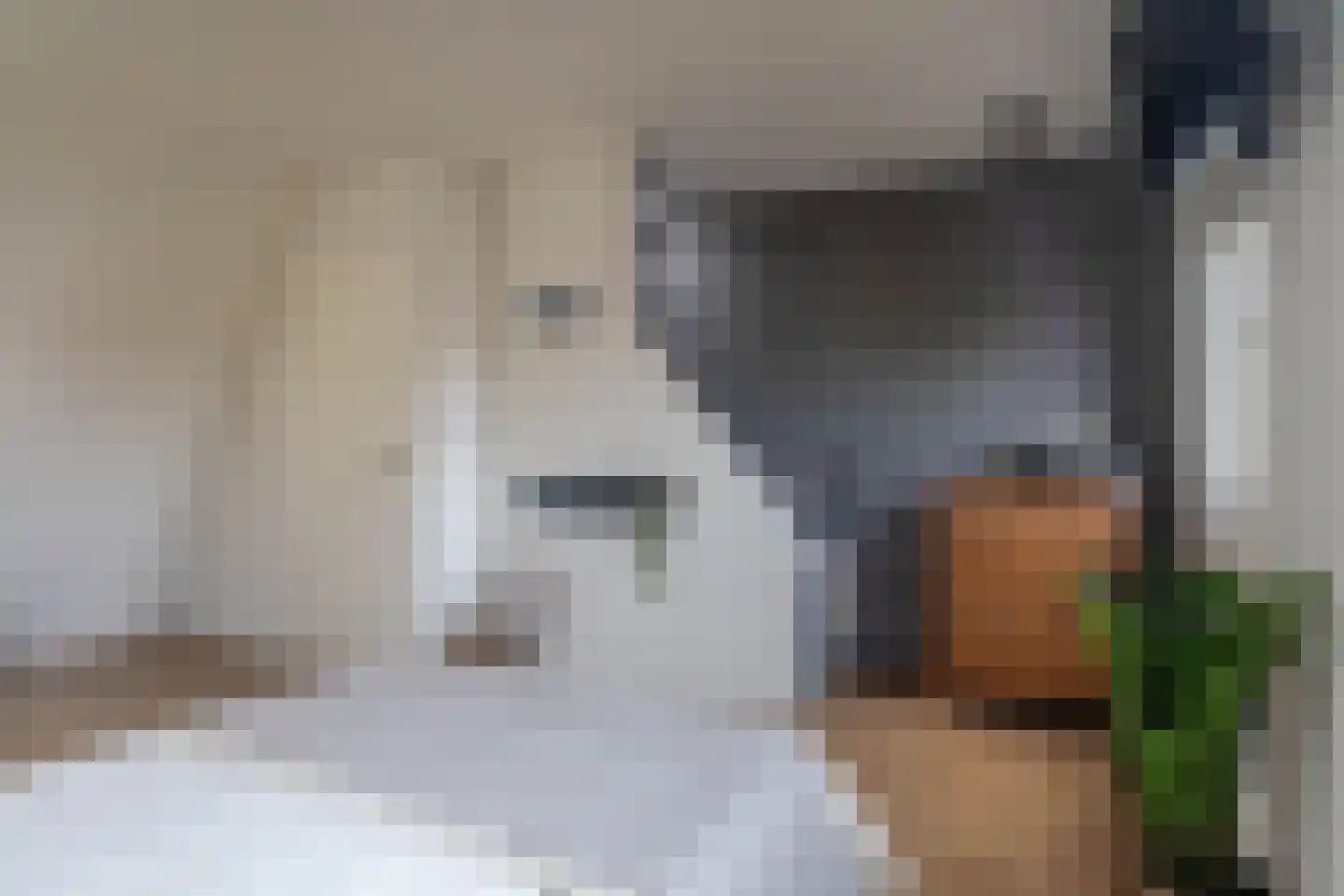 Lindenstraat 20 IJmuiden thumbnail 31